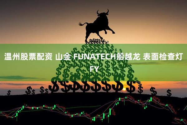 温州股票配资 山金 FUNATECH船越龙 表面检查灯 FY
